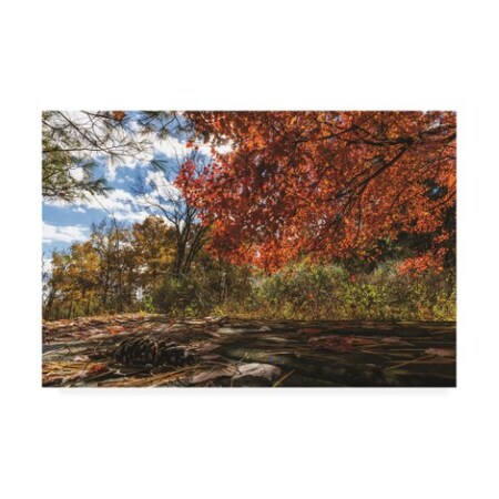 Trademark Fine Art Kurt Shaffer Photographs 'Autumn Picnic' Canvas Art, 12x19 KS01496-C1219GG